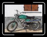 dingo cross 2 * 580 x 435 * (64KB)